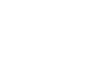 The Monaco Protocol icon